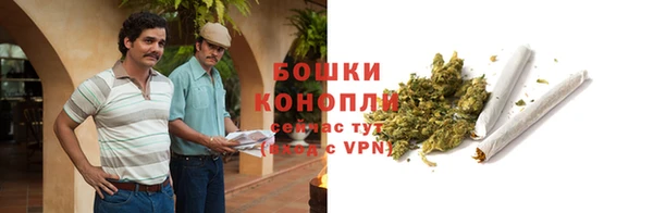 СК Белокуриха