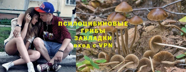 СК Белокуриха