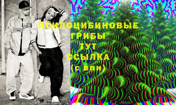 СК Белокуриха